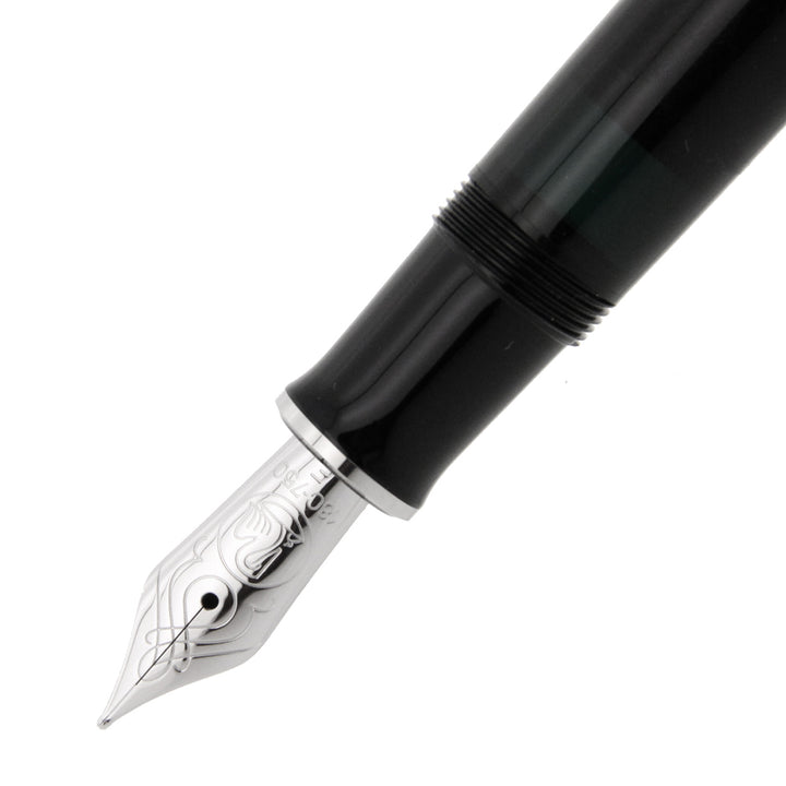 Pelikan Souver&agrave;n M805 Penna Stilografica Resina Nera Pennino Fine