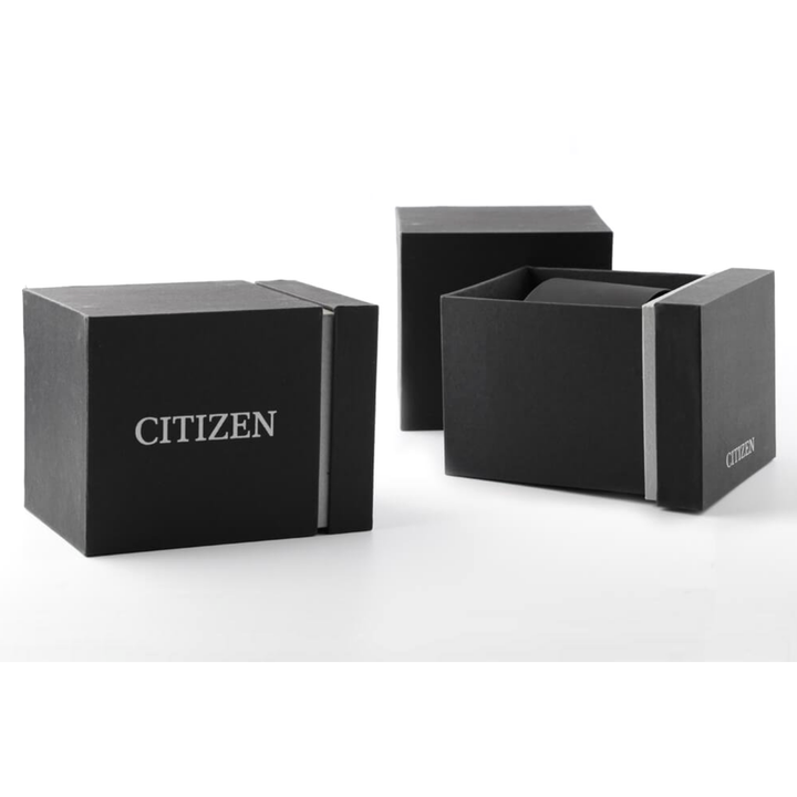 Orologio Citizen Sky Promaster Automatico Air Pilot GMT