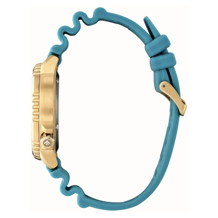 Citizen Promaster Diver Eco Drive 200mt Verde IP Finitura Grigia