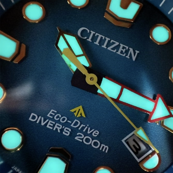 Citizen Promaster Diver Eco Drive 200mt Verde IP Finitura Grigia