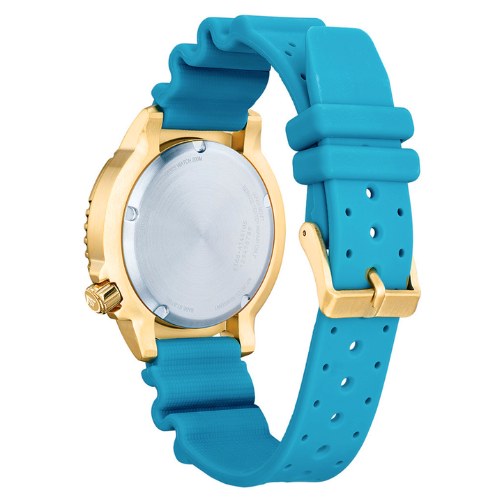 Citizen Promaster Diver Eco Drive 200mt Verde IP Finitura Grigia