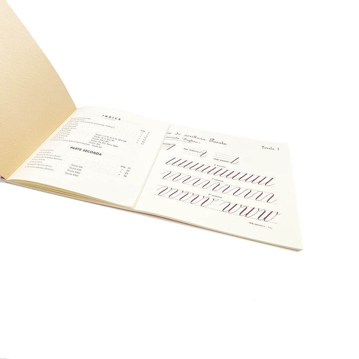 Modello di Calligrafia di Erminio Monti anno 1926 Made in Italy