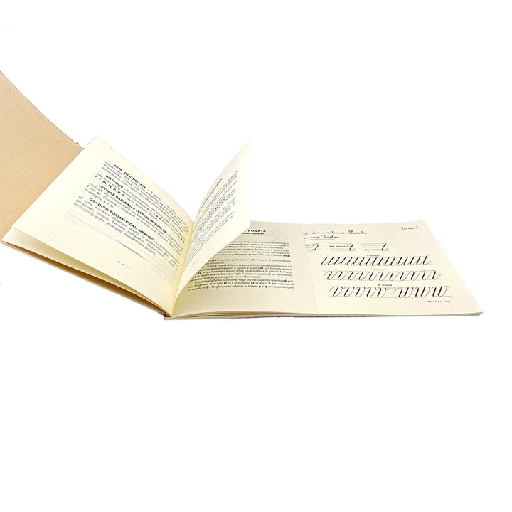 Modello di Calligrafia di Erminio Monti anno 1926 Made in Italy