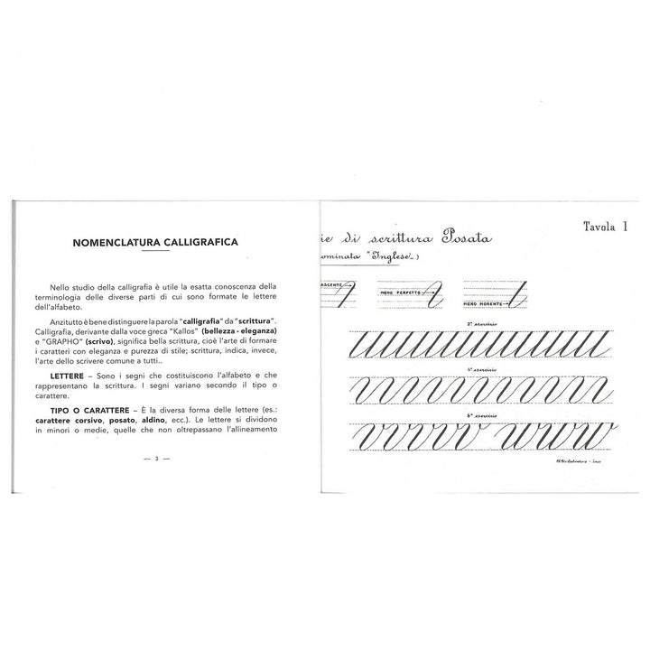 Modello di Calligrafia di Erminio Monti anno 1926 Made in Italy