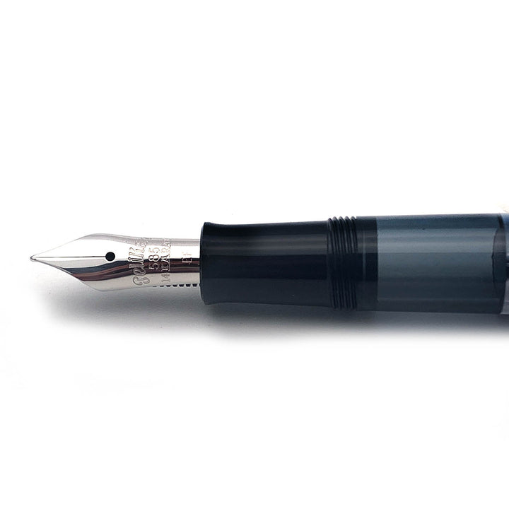 Pelikan Penna Stilografica M101N Grigio-Blu Edizione Speciale