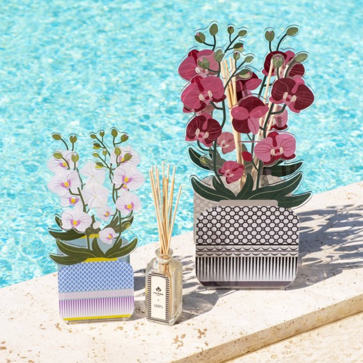 Vesta Profumatore per ambienti Livinia Orchidea 500ml 7501585