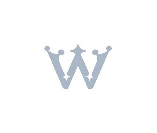 waterman man 200 night day fountain pen gold